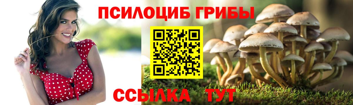 Екатеринбург  Галлюциногенные грибы Cubensis  где можно купить наркотик  Вход с VPN 